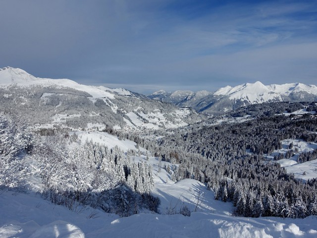 Piste 009